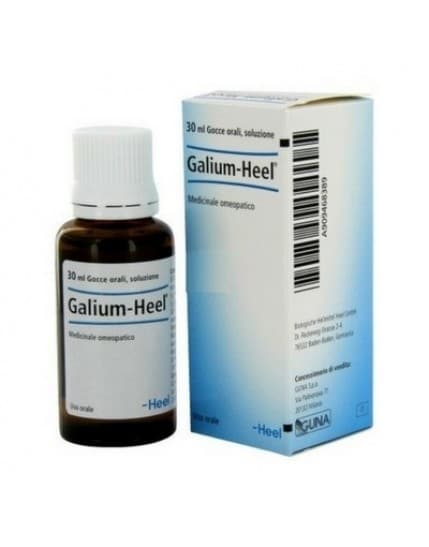 GALIUM 30ML GTT HEEL