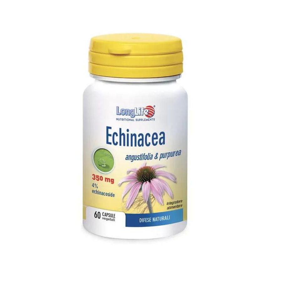 longlife echinacea